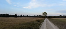 Heath landscape around Munich